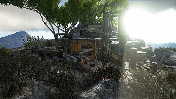 Скриншот из игры ARK: Survival Evolved