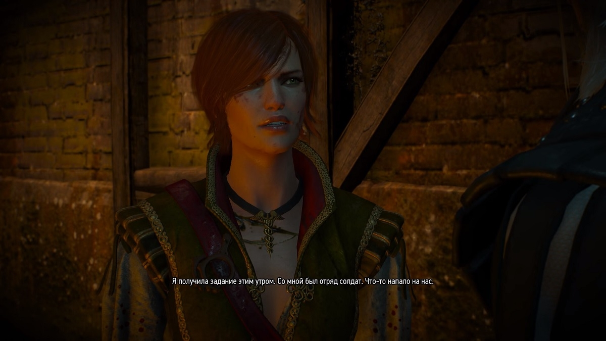 Скриншот из игры Witcher 3: Wild Hunt - Hearts of Stone, The под номером 4
