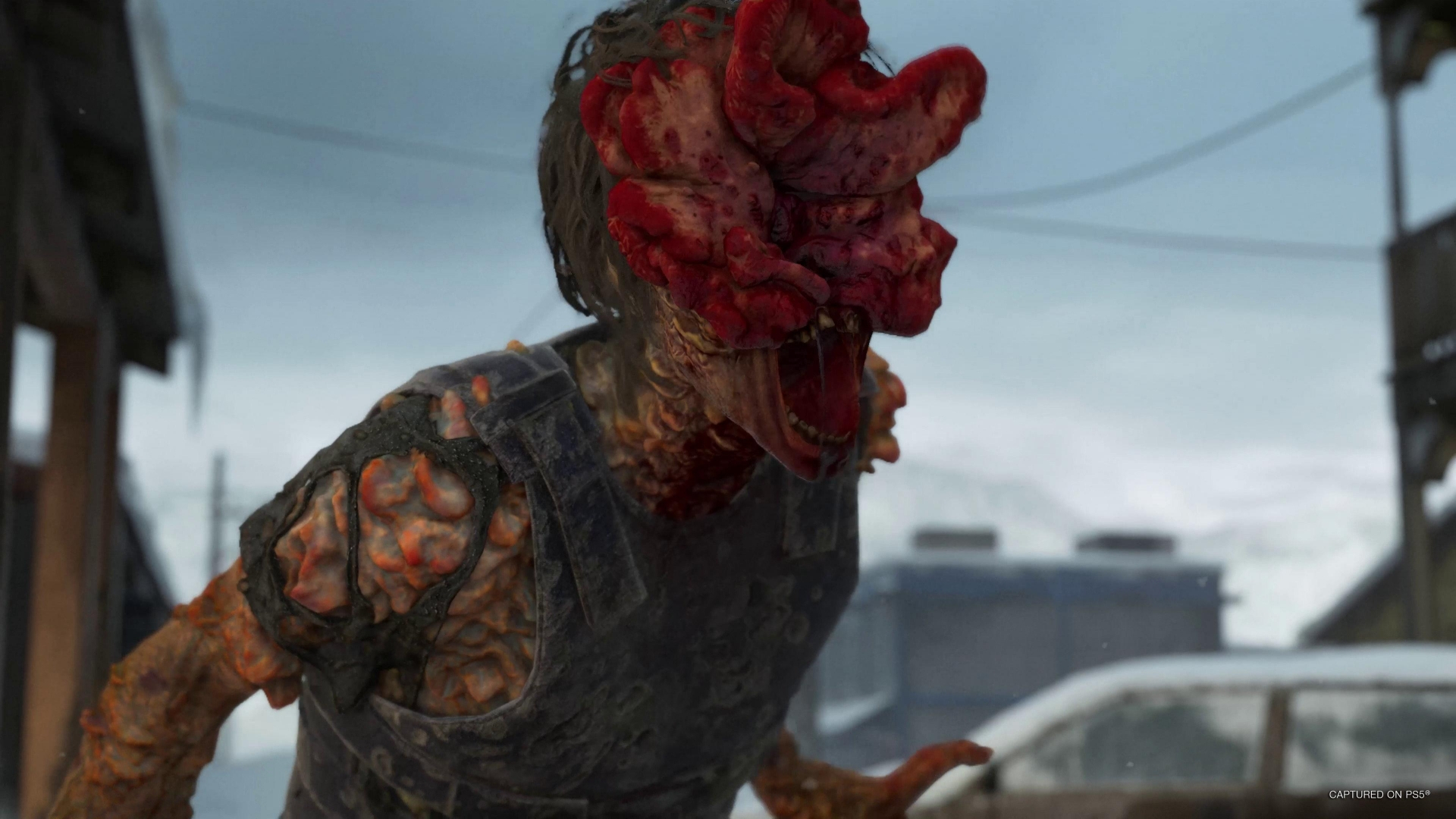 Скриншот из игры The Last of Us Part 2 Remastered под номером 2