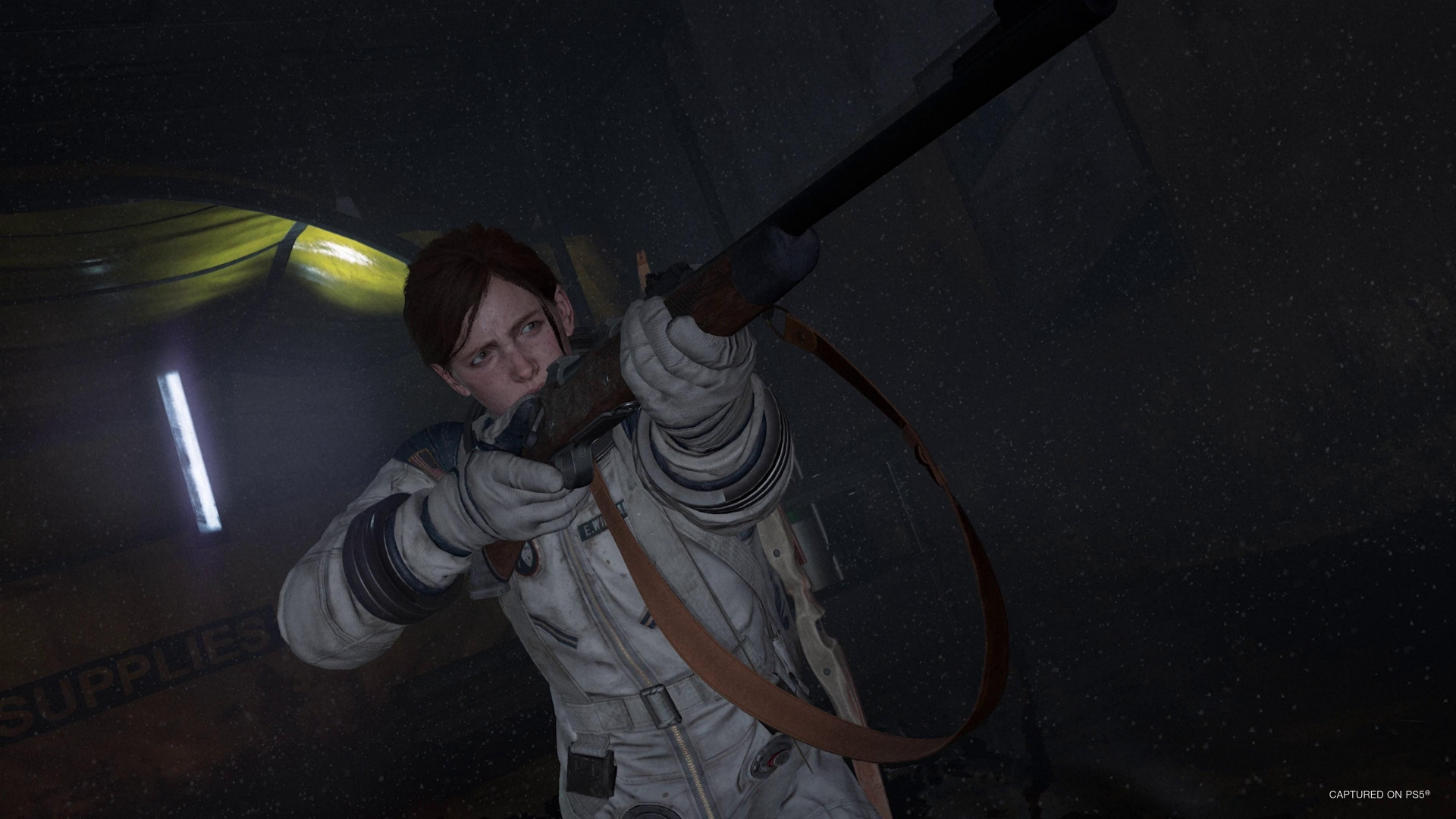 Скриншот из игры The Last of Us Part 2 Remastered под номером 6