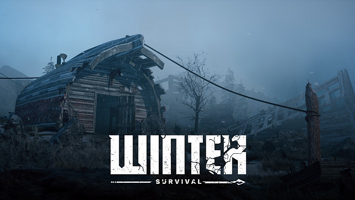 Обложка для игры Winter Survival