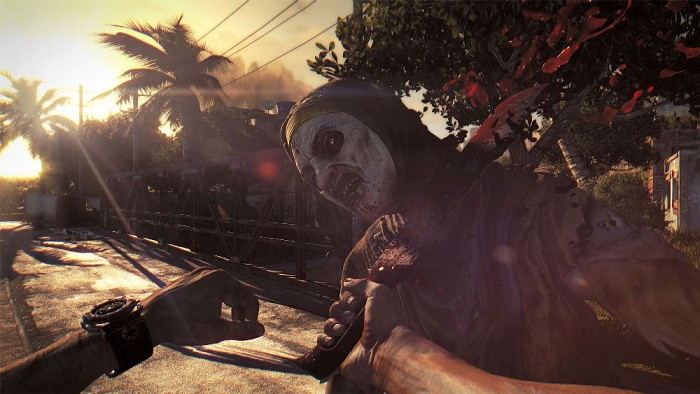 Скриншот из игры Dying Light